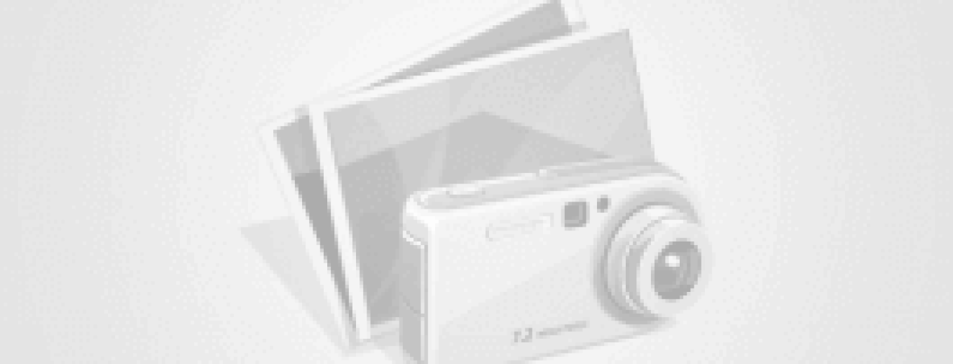 Cộng tác viên